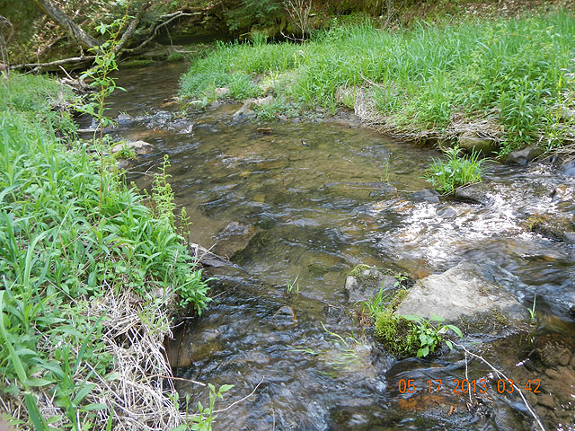 camp 05-17-13 009.jpg -                                